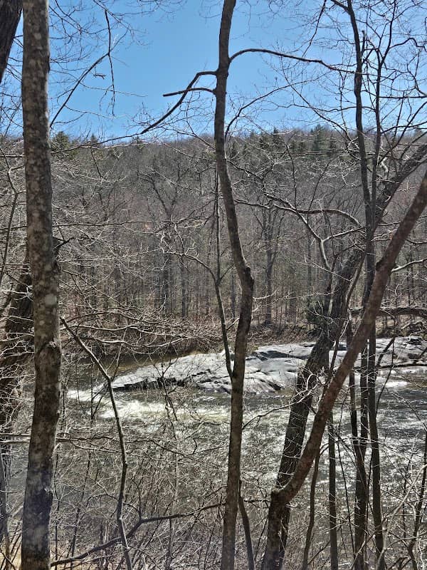 Kim's scenic stop and walk - Image 1