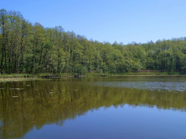 Krajeński Park Krajobrazowy - Image 1