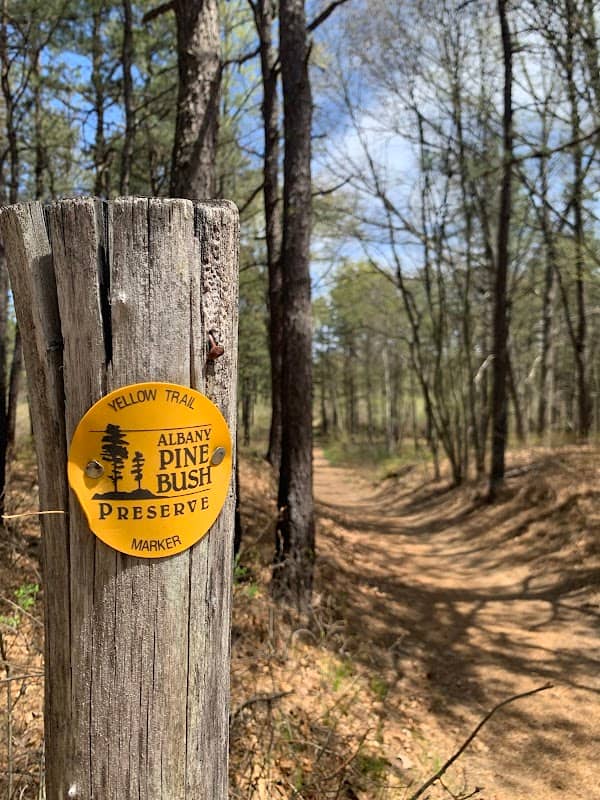 Albany Pine Bush Preserve - Image 3