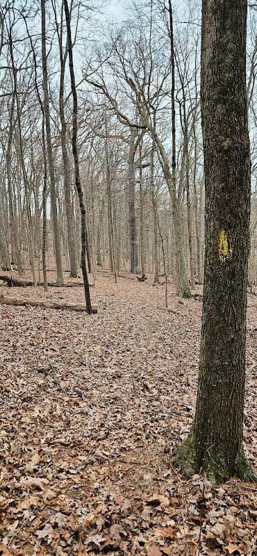 Sunset Point - Image 2