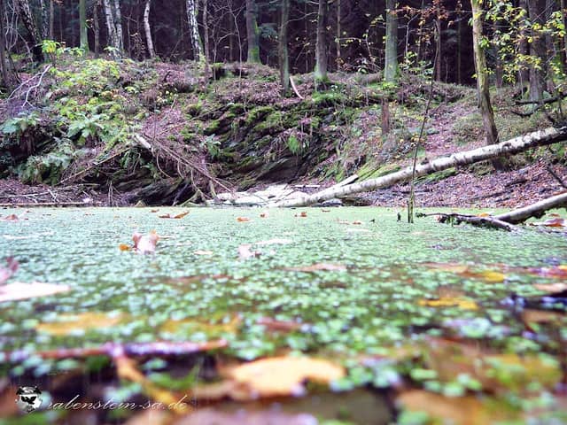 Silbersee / ehem. Steinbrüche - Image 2