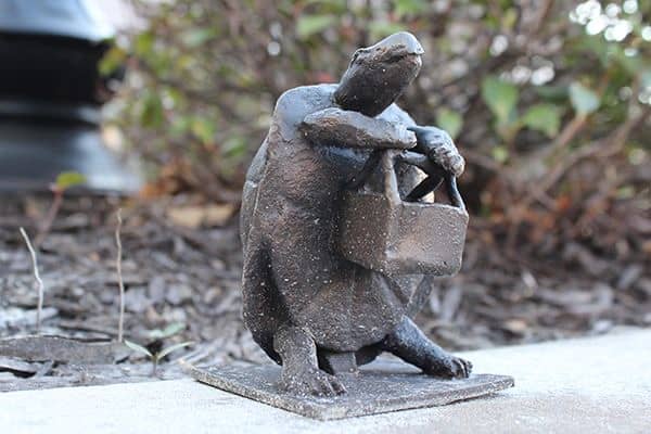 Downtown Turtle Trail - Image 2