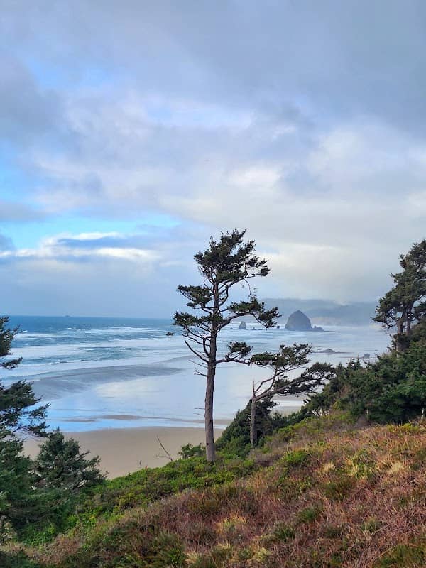 cannon beach - Image 3