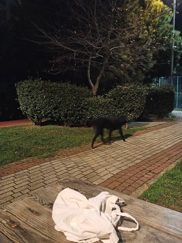 Ataşehir parkı - Image 1