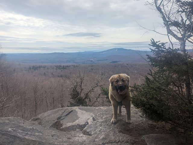 Lookout point - Image 2