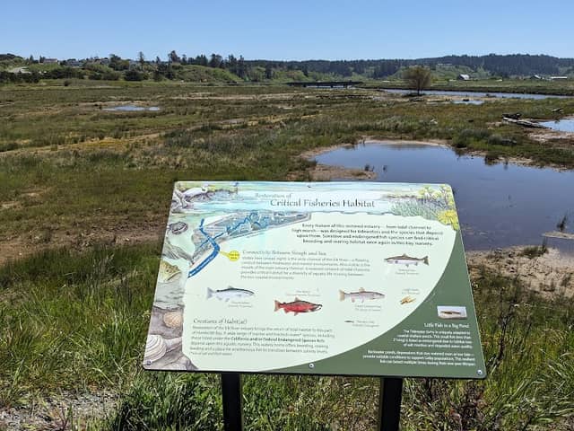 Tooby Road accessible trail - Image 1