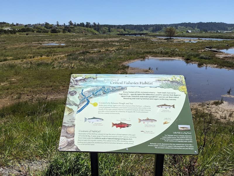 Tooby Road accessible trail - Image 1