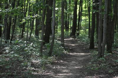 Bella Vista Back 40 Trail Head - Image 1