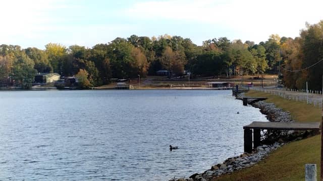 Gene Adams Park (Private for Swan Lake Members) - Image 2