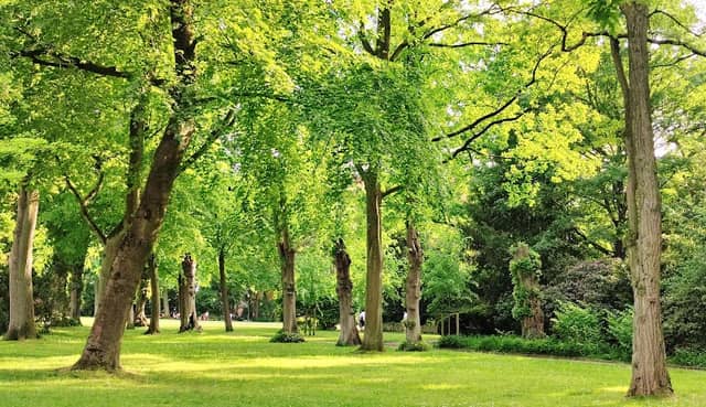 Drostei Park - Image 3