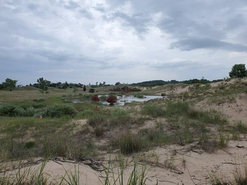 Kitchel/Lindquist/Hartger Dunes Preserve - Image 2
