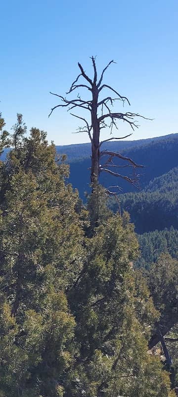 Buzzard's Roost Lookout - Image 1