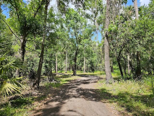 Peace River Park - City of Wauchula - Image 2