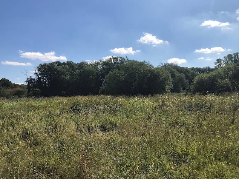Wensum Local Nature Reserve - Image 2