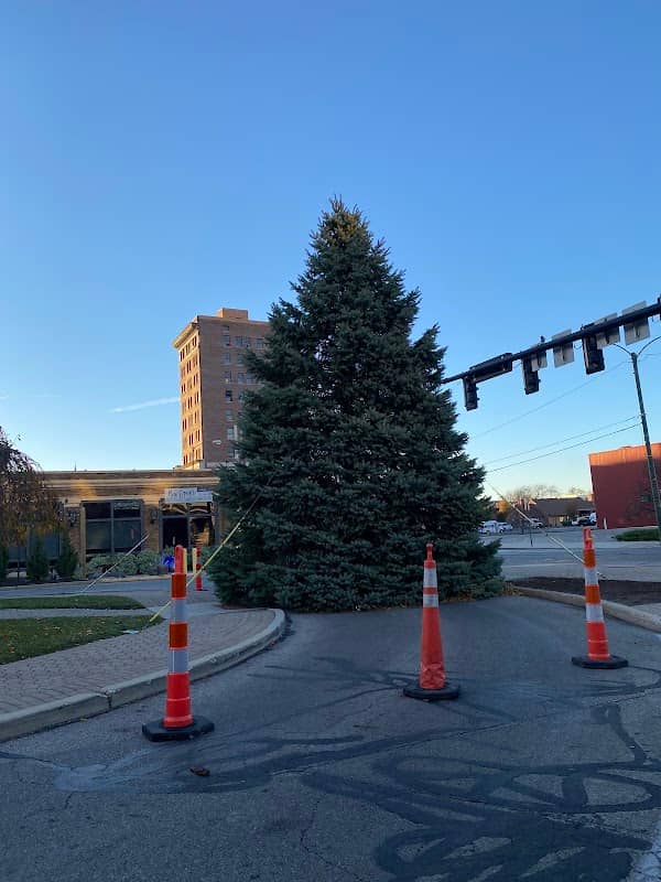 Springfield City Christmas Tree - Image 1