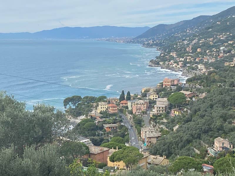 View Point Il parco in Bicicletta - Image 2