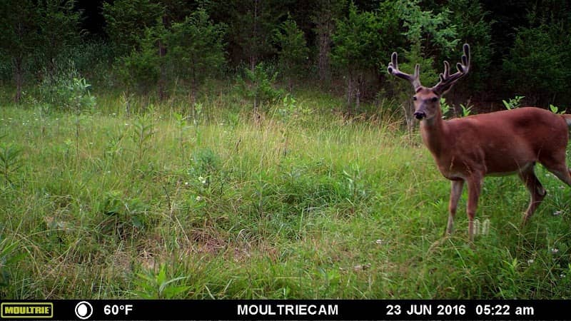 Ohio Premier Trophy Outfitters - Image 1
