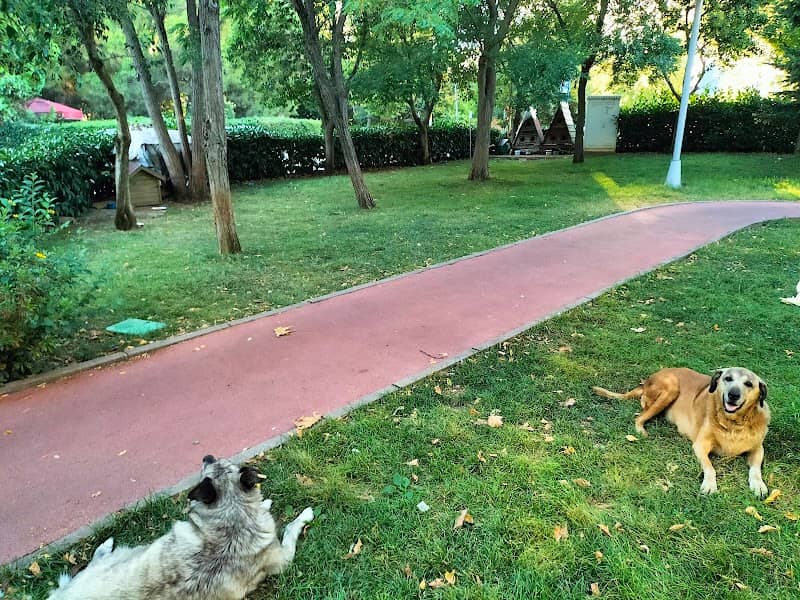 Park - Image 2