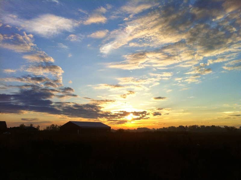 Peck Farm Park - Image 1