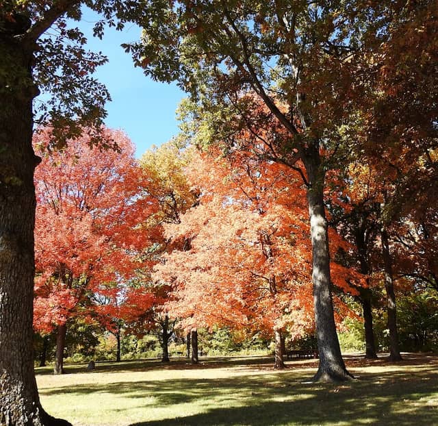 City County Park - Image 1