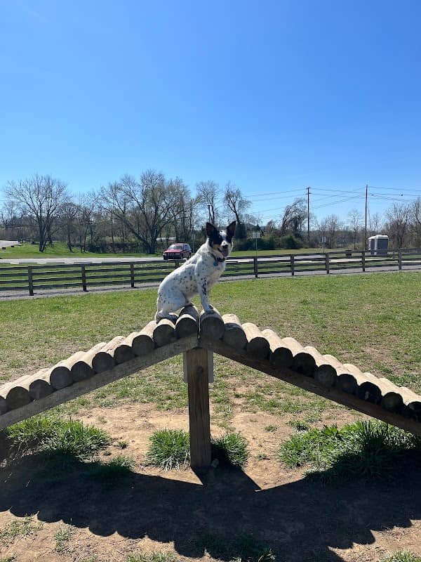 Carden Farm Dog Park - Image 1