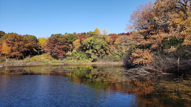 Richardson Nature Center - Image 1