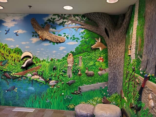 Richardson Nature Center - Image 3