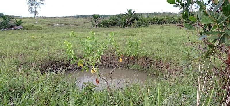 Kolam Bom Babo - Image 1