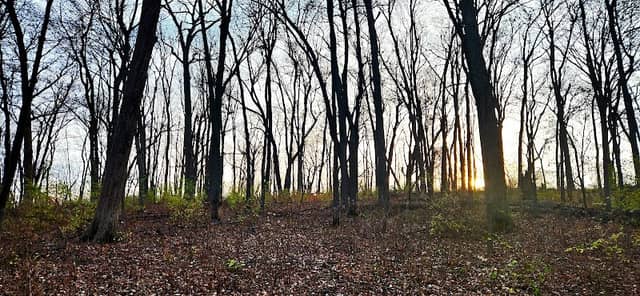 Schoenmaker Woods - Image 1