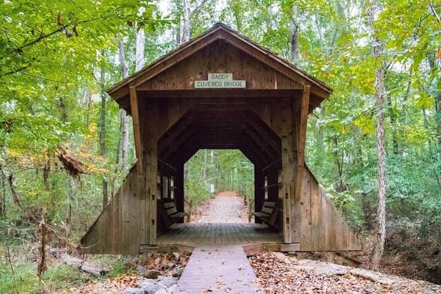 Pee Dee National Wildlife Refuge - Image 3
