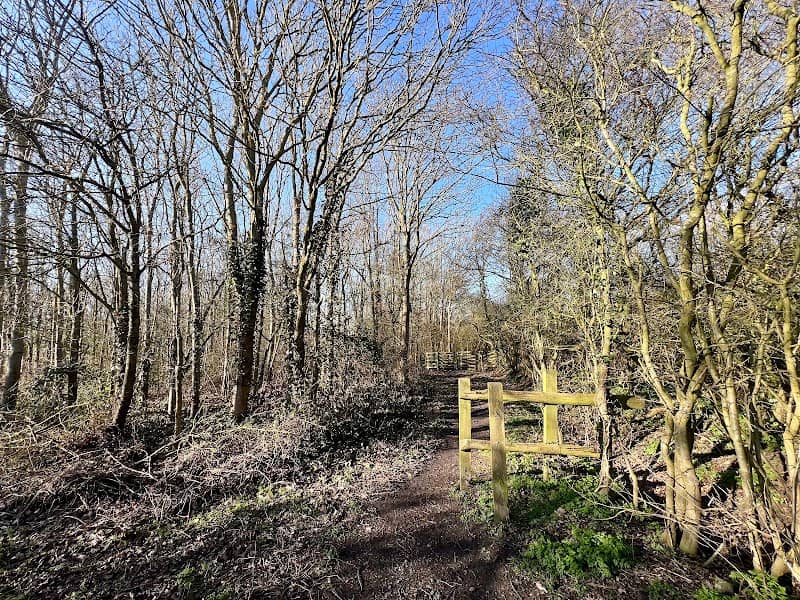 Ley Field - Image 1