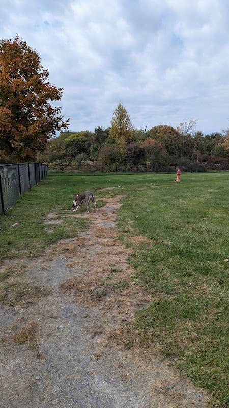 Bark Park on Indigo Way - Image 1
