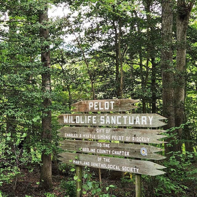 Pelot Bird Sanctuary Trailhead - MD Ornithological Society - Image 3