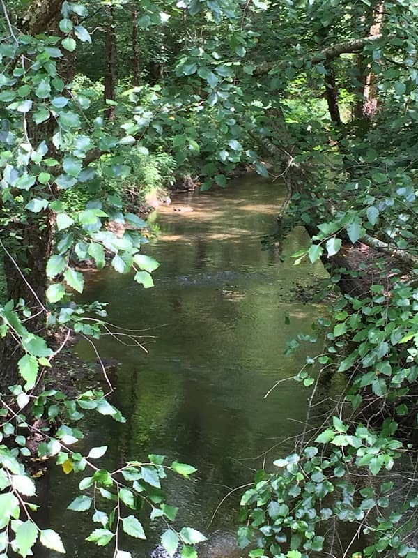 Pelot Bird Sanctuary Trailhead - MD Ornithological Society - Image 2