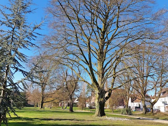 Barfußpark Bad Rothenfelde - Image 1