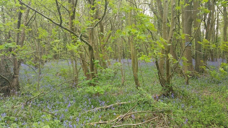 Chatsworth Park - Image 3