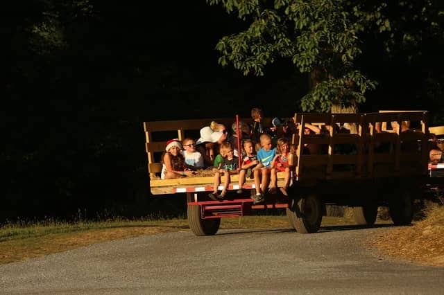Old Cedar Campground - Image 1
