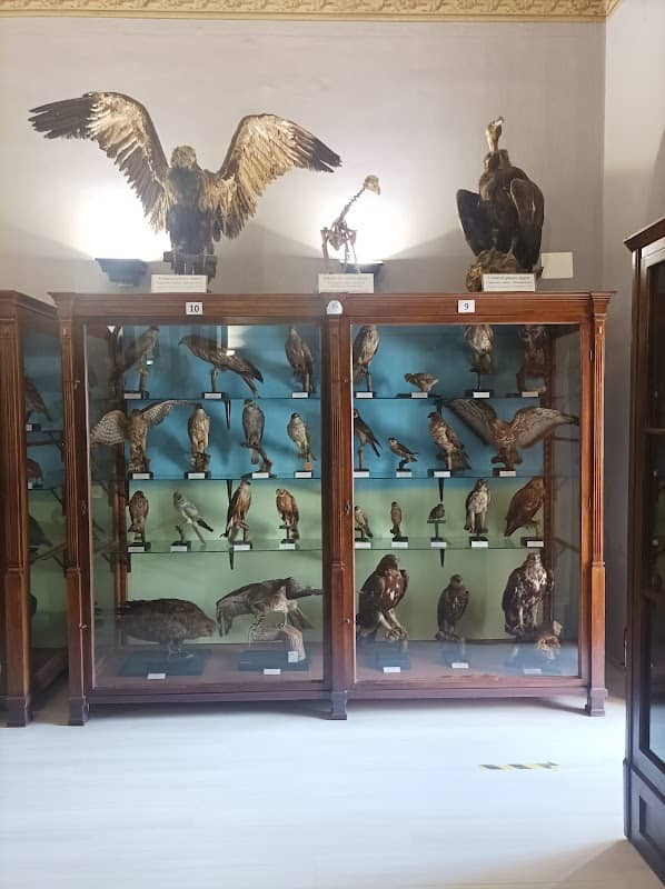 Muzeul de Științele Naturii - Image 1