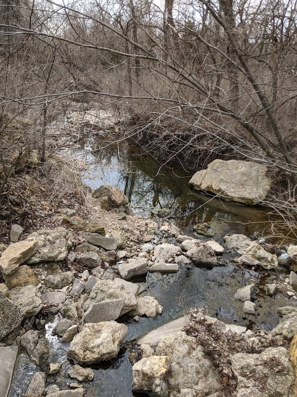 Conrad & Viola McGrew Nature Preserve - Image 1