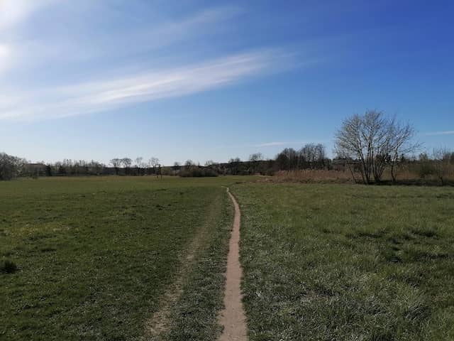 Park Suszynkowski - Image 1