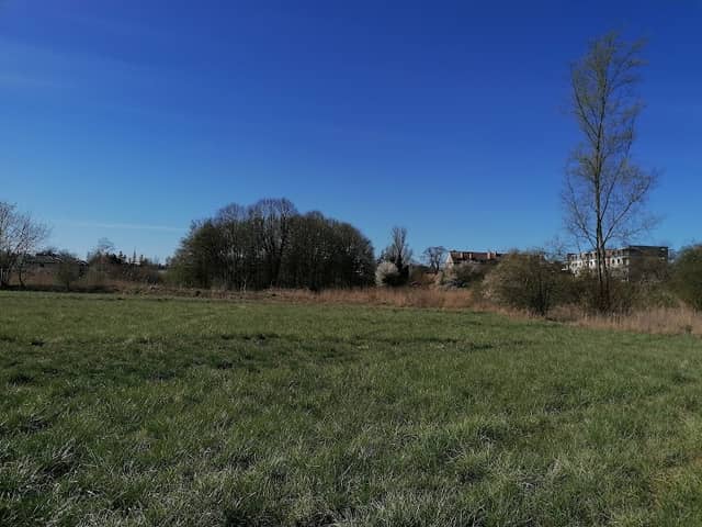 Park Suszynkowski - Image 2