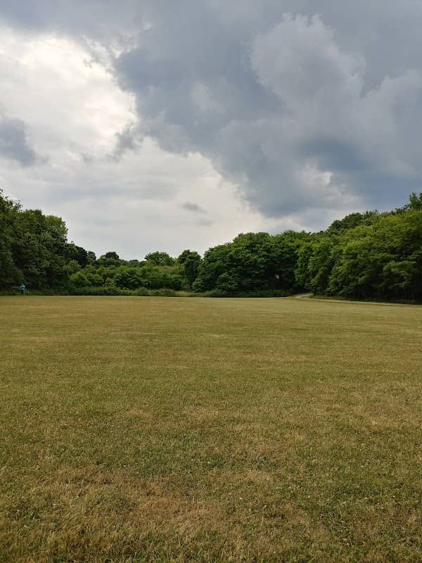 Macgill Park - Image 2