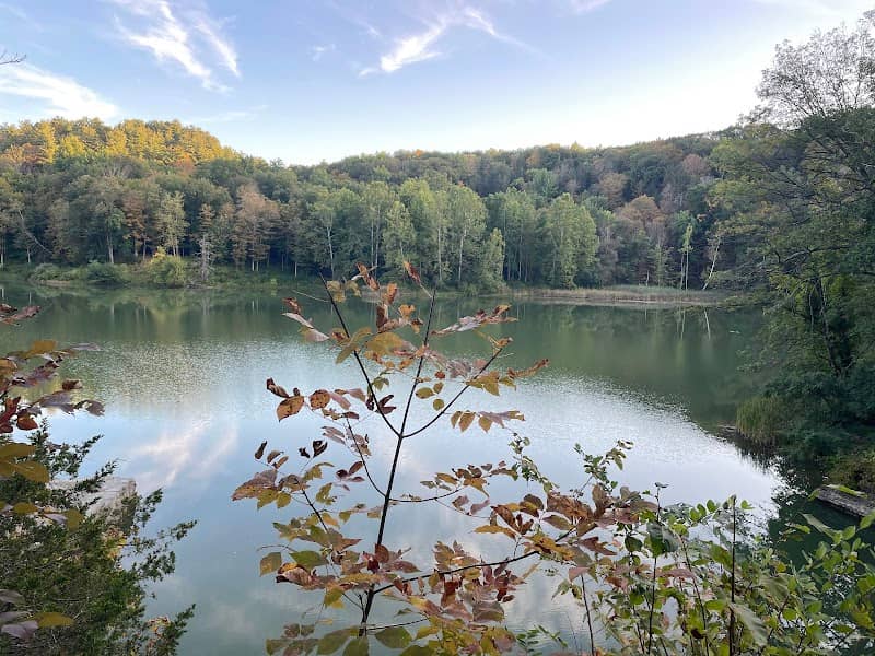 Second Dam - Image 3