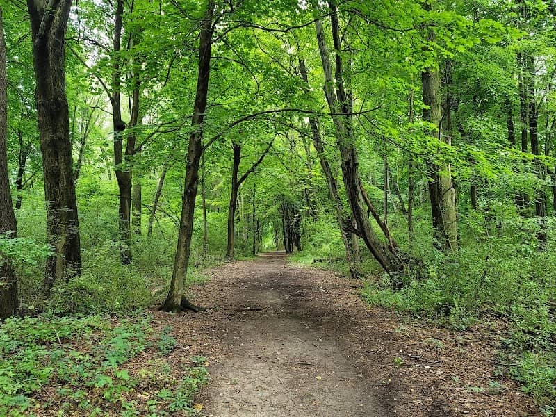 Rotary Park - Image 2