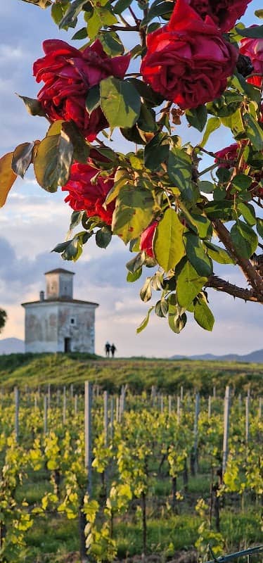 Torre Belvedere - Image 2