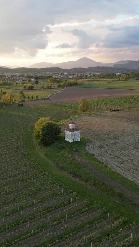 Torre Belvedere - Image 1