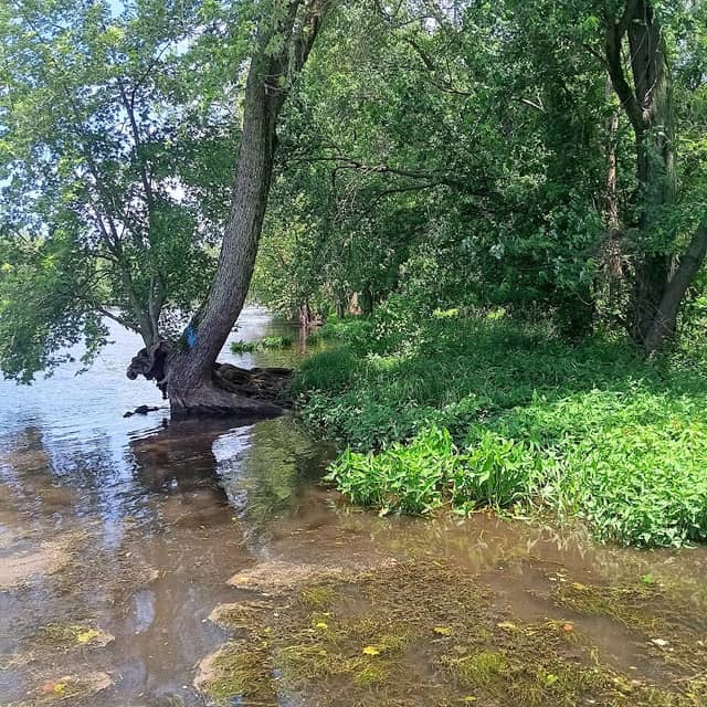 St Joseph River Public Access - Image 2