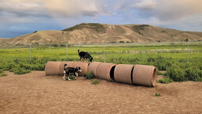 Dog Park - Image 1