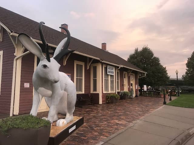 Giant Jackalope - Image 2