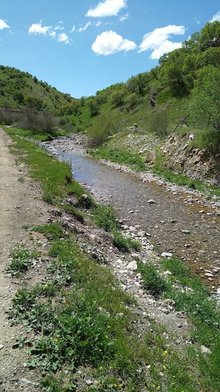 باخی على عبدالرحمن - Image 1